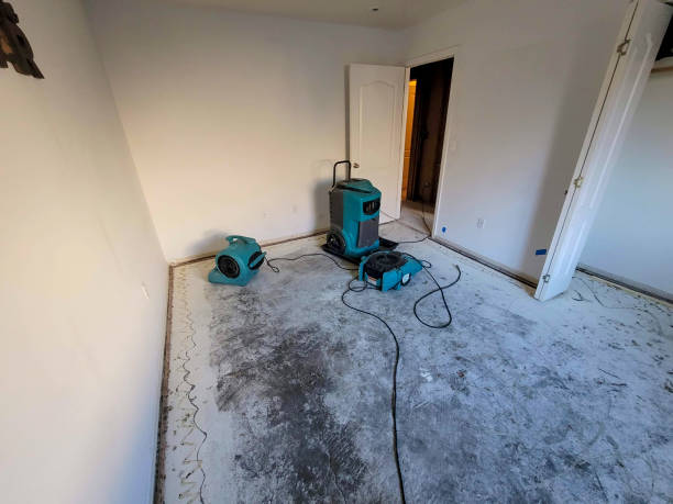 Best Water damage restoration near me  in Graham, NC
