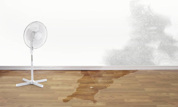 Best Sewage cleanup and water damage restoration  in Graham, NC