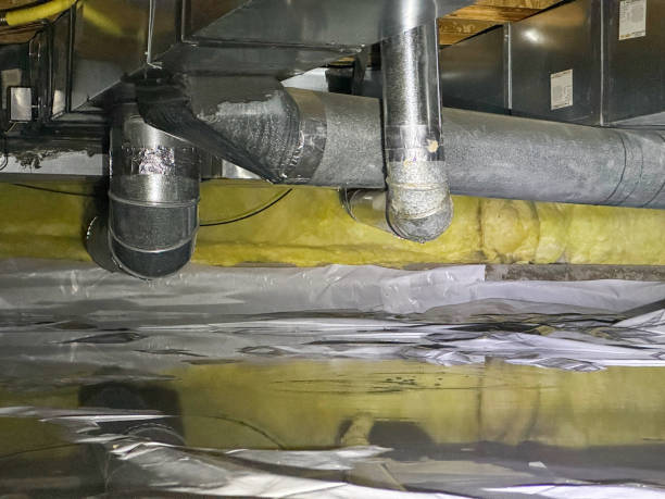 Best Water damage mitigation services  in Graham, NC