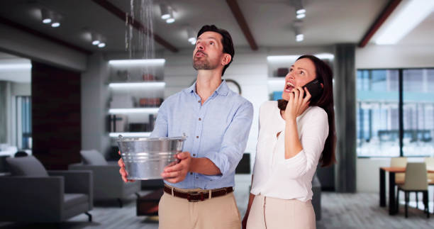 Best Professional water damage repair  in Graham, NC